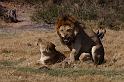 126 Okavango Delta, love